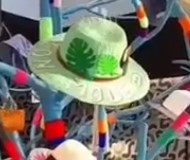 Congratulations for this vibrant concept store @district_xix at @walkofcairo.