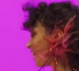 Unleash Your Style at Style Avenue ‘Les Couleurs’.