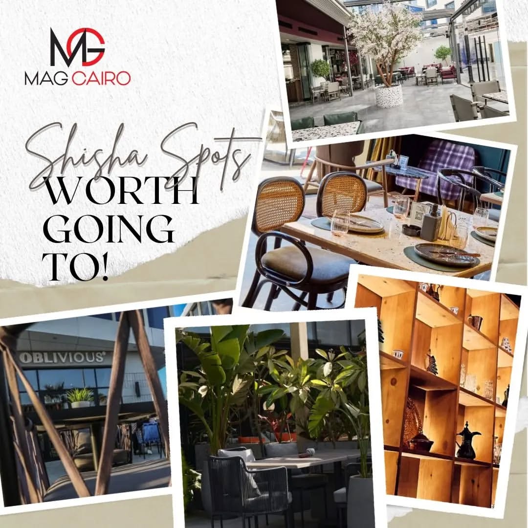 We have picked few shisha spots in New Cairo that are worth going to and enjoy the different flavours whether you are going with friends for a casual outing or maybe just need to have some me time and vent out.