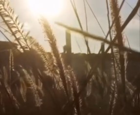 Discover the epitome of tranquility at Kynd Hotel in North Coast Egypt, where nature’s unparalleled beauty merges effortlessly with luxurious amenities. A true oasis to escape and rejuvenate this upcoming long weekend.