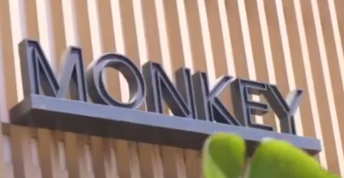 Escape to Monkey Rooftop, the North Coast’s must-visit destination, and discover the ultimate chill haven for unforgettable cuisine memories.