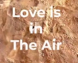 Indulge in the sweetest treat that’s sure to melt your heart.