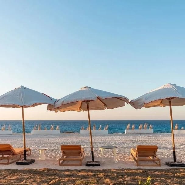 Ahotel, the North Coast Egypt’s latest luxury accommodation and first portable hotel flourishes through its innovative concept. Designed to be built and dismantled again at the end of summer; The perfect getaway destination founded on simplicity and innovation.