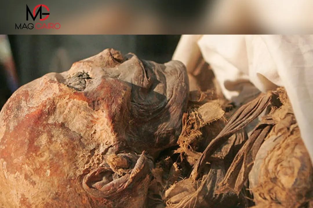 our recently discovered artifacts that tell the story of a trading trip Queen Hatshepsut.