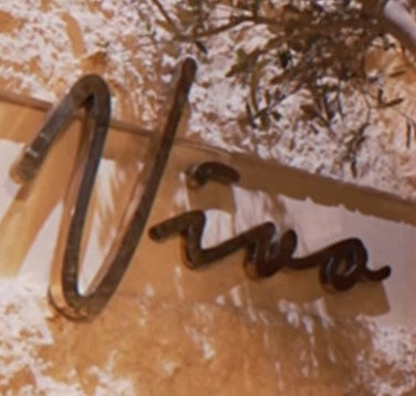 A Captivating Evening at Vivo, The Nile Ritz-Carlton.