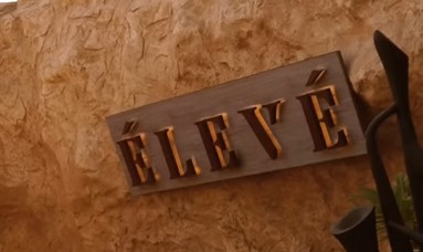 Last night at ÉLEVÉ Egypt was all about unforgettable vibes.